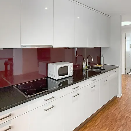 Amazing Penthouse - Flower 51 * Цюрих